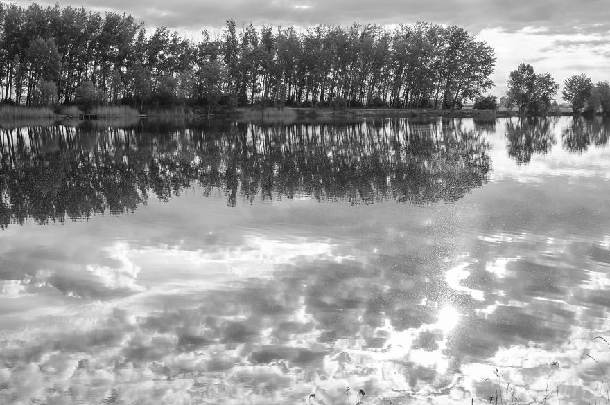 Same Theme - Different Results