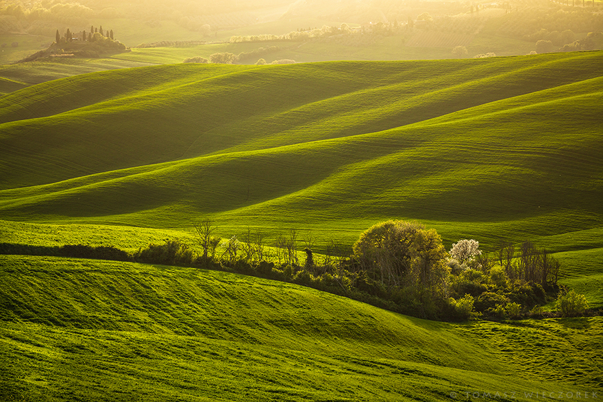 I Spent Every Sunrise And Sunset Of My Trip Photographing The Beautiful Landscape Of Tuscany