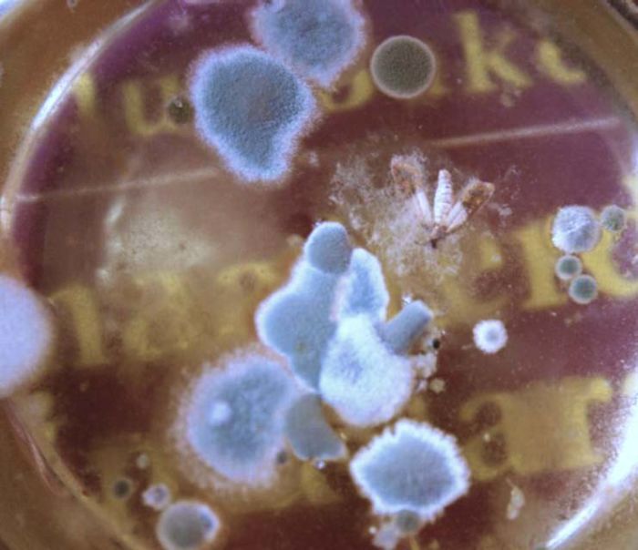 Time Is A River, Maybe I Am Bored!