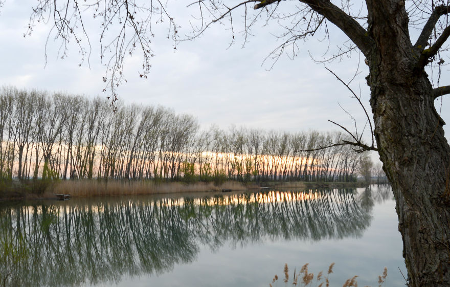 Same Theme - Different Results