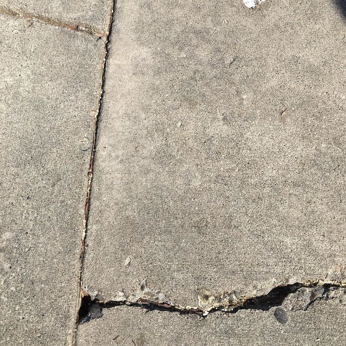 I Found Today On The Street