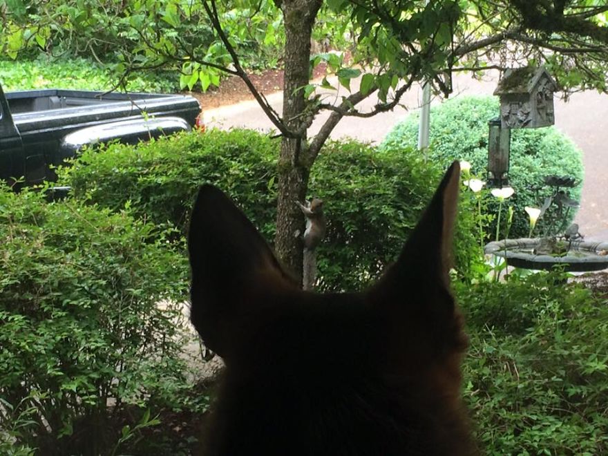 My Best Moments Are With My Best Friend, Cayote. My Best Moments Are With My Best Friend, Cayote.