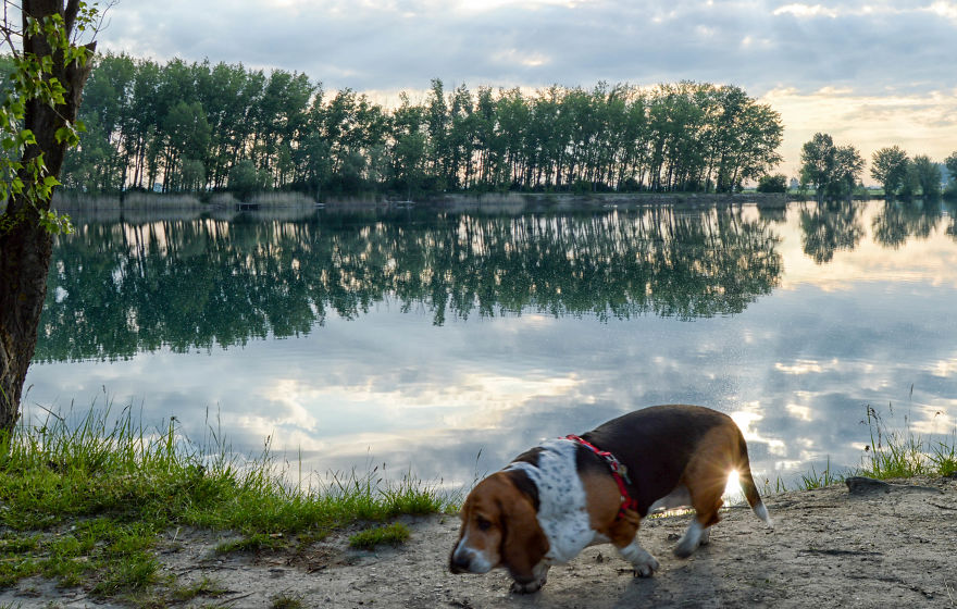 Same Theme - Different Results