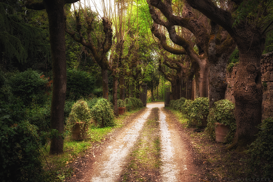 I Spent Every Sunrise And Sunset Of My Trip Photographing The Beautiful Landscape Of Tuscany