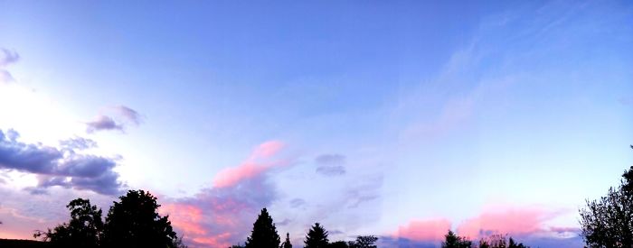 Dreamin' About Cotton Candy Sky