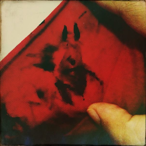 I Cleaned My Brush And Got A Pretty Donkey.