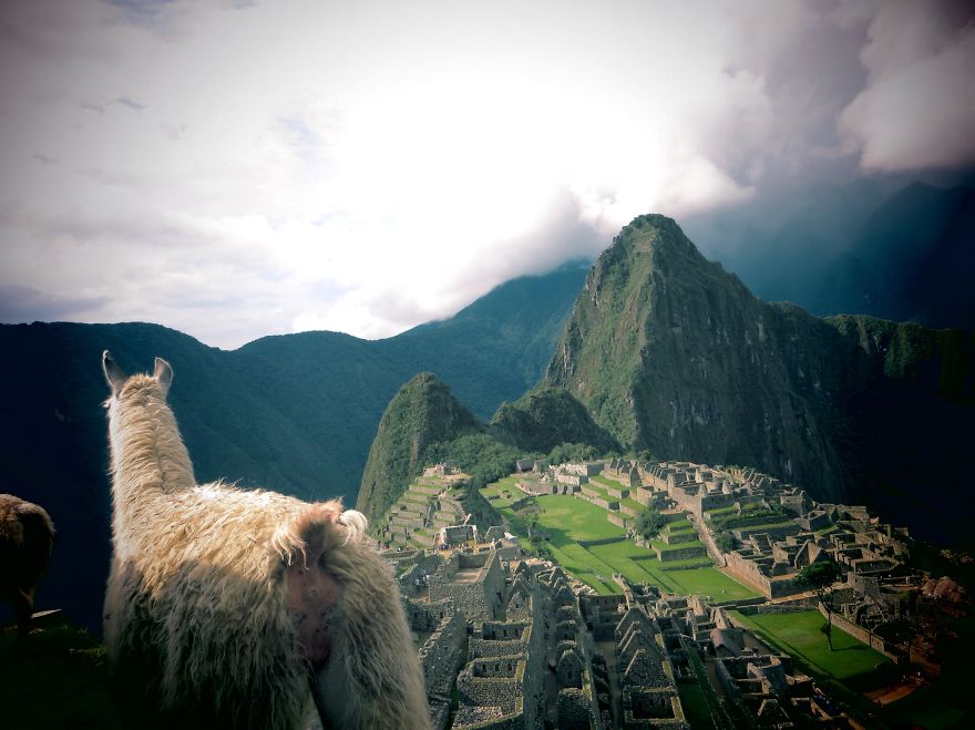 I Turned My Van Into A Food Truck To Travel Around The World I Turned My Van Into A Food Truck To Travel Around The World
