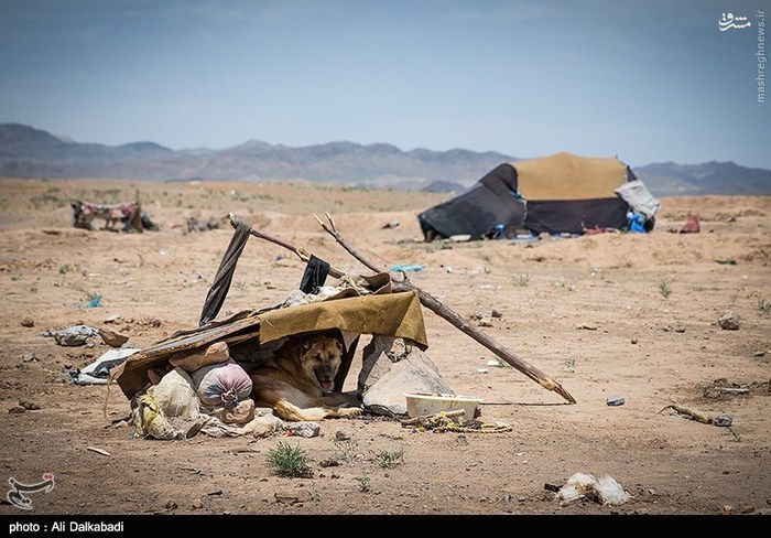 Zabul Immigrants In Sabzevar - Iran