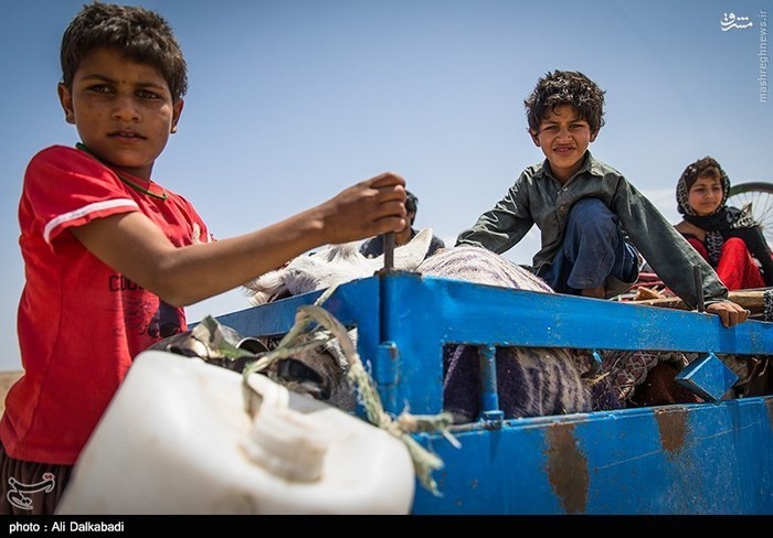 Zabul Immigrants In Sabzevar - Iran