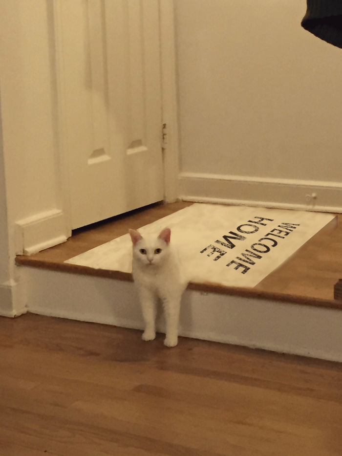 Welcomehome - Bim.bo