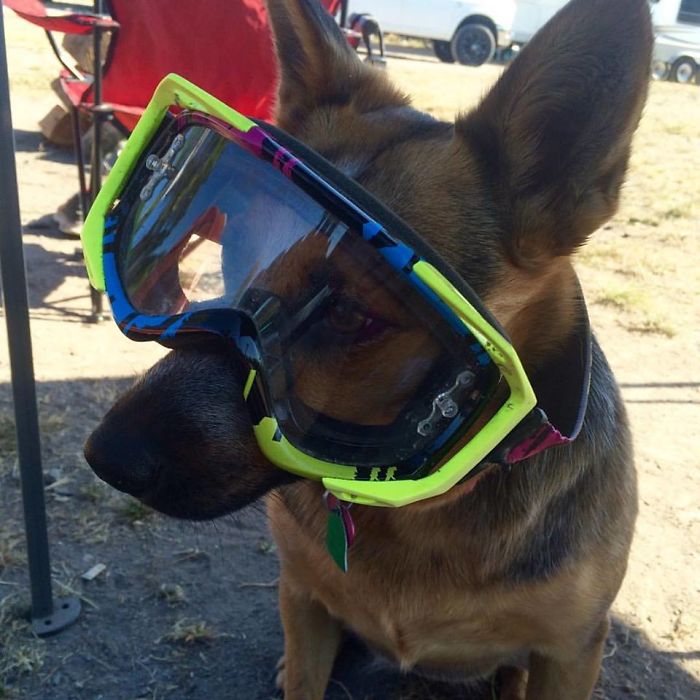 My Best Moments Are With My Best Friend, Cayote.