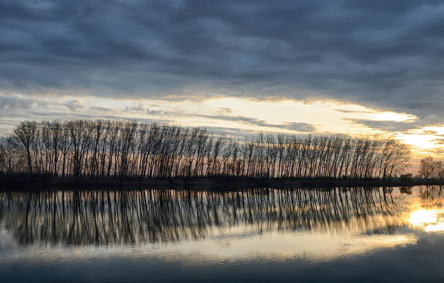 Same Theme - Different Results