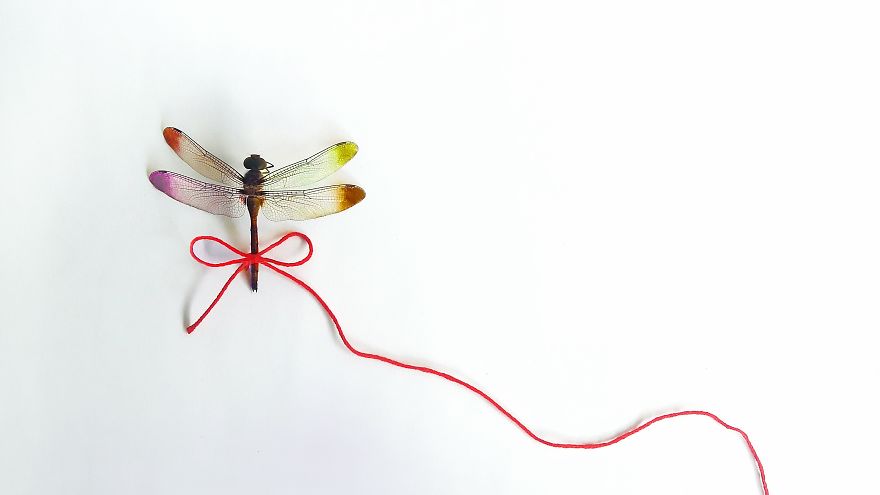 I Use Colorful Objects Around Home To Channel My Creative Concepts I Use Colorful Objects Around Home To Channel My Creative Concepts