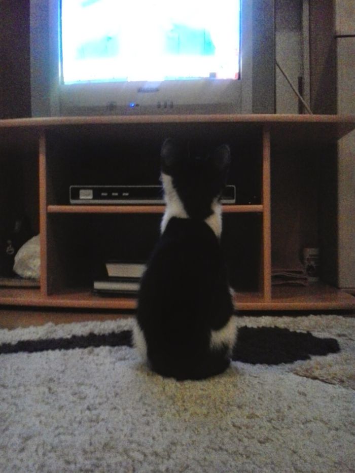 Let's See What Is On Tv...