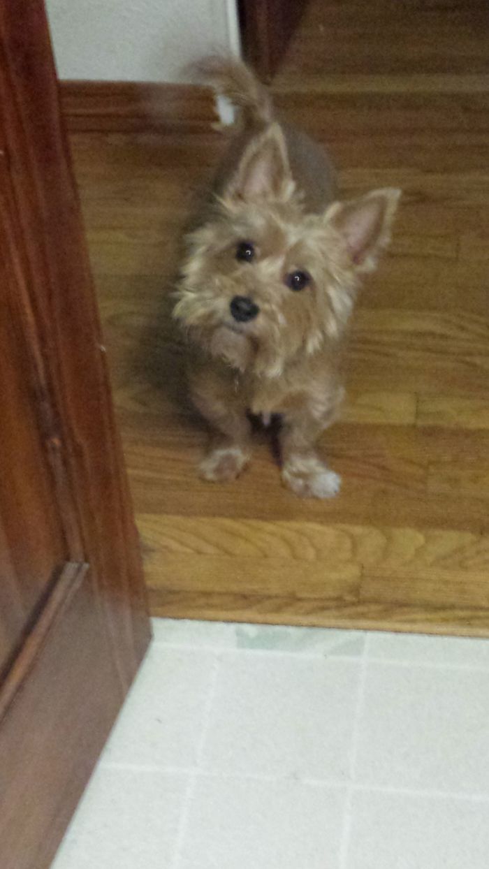 Are You Talking To Me?