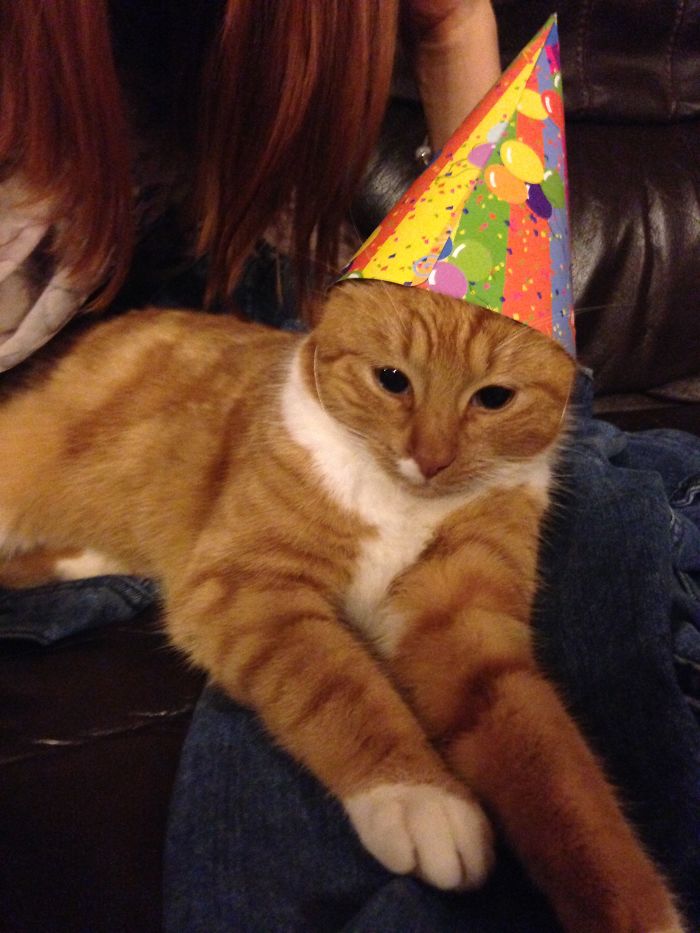 Birthdays Are The Best