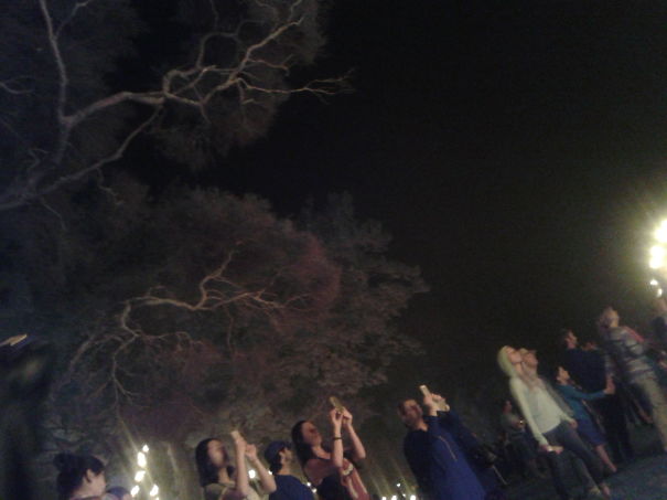 Accidental Crowd Shot Taken By Ph Camera