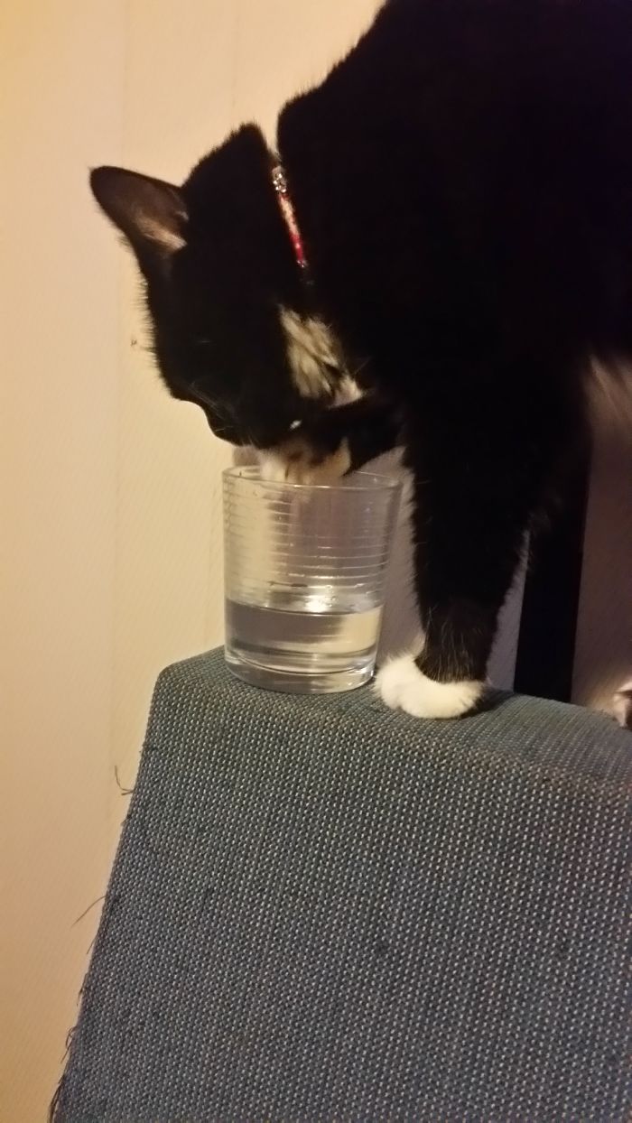 Friday Only Drinks Out Of Mummies Glass