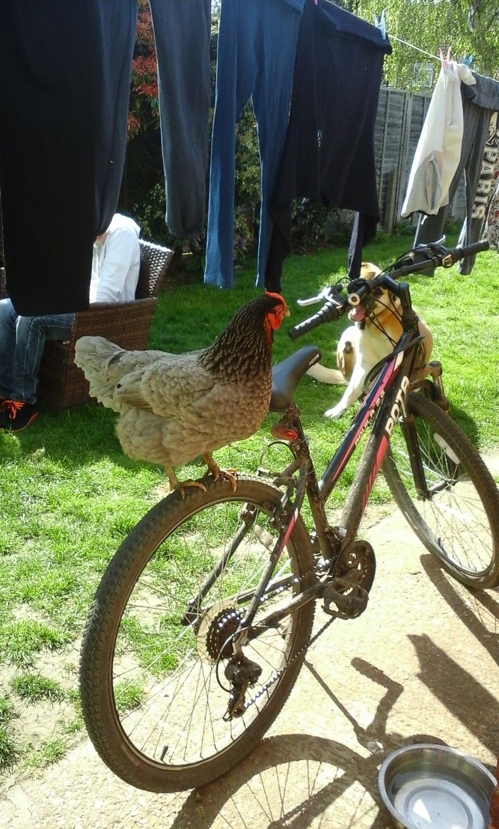 Getting Ready For The Tour De France!