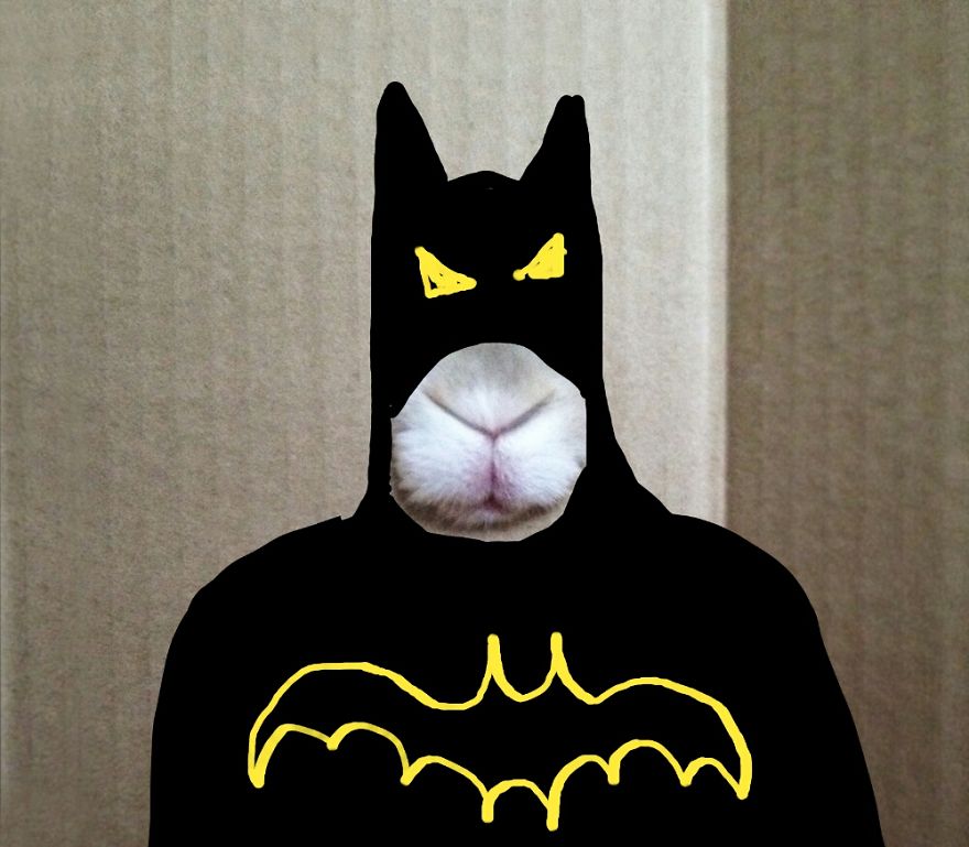 Batbunn