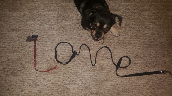 My Little Boy, Buddy, And I Wanted To Share Our Favorite Word That Starts With L!