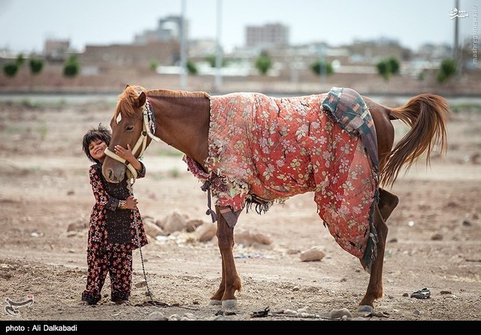 Zabul Immigrants In Sabzevar - Iran