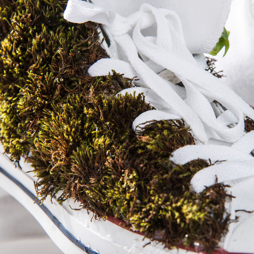 I Decorate Converse Shoes Using Candies, Moss, And Fabric Paints