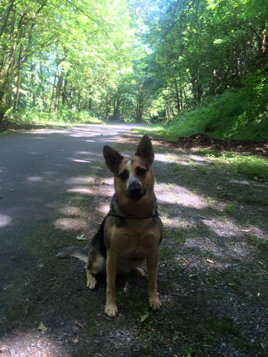 My Best Moments Are With My Best Friend, Cayote. My Best Moments Are With My Best Friend, Cayote.