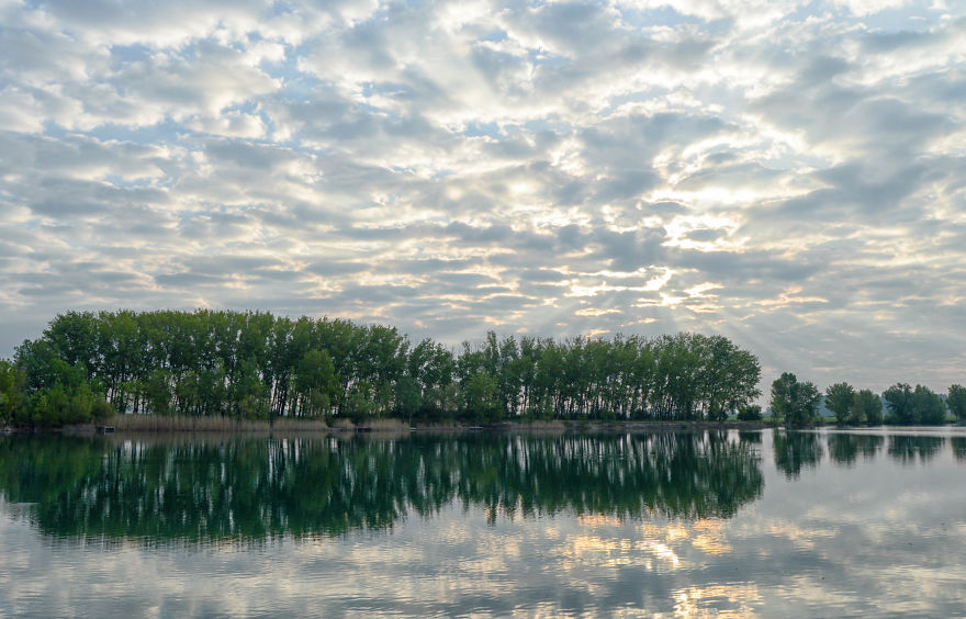 Same Theme - Different Results