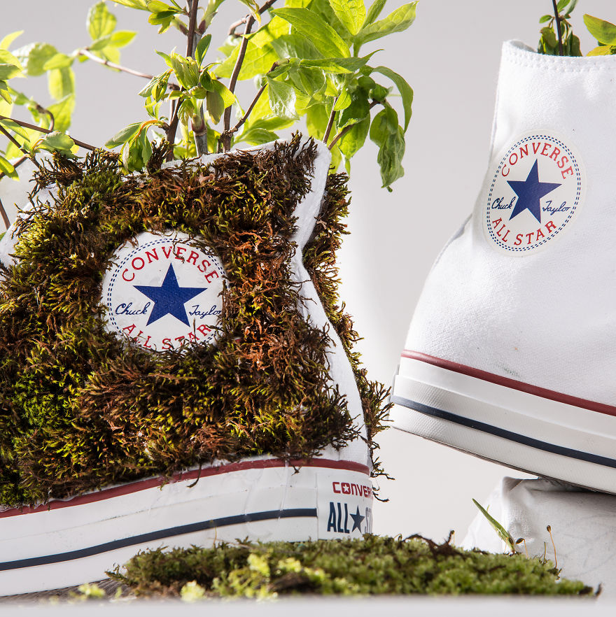 I Decorate Converse Shoes Using Candies, Moss, And Fabric Paints