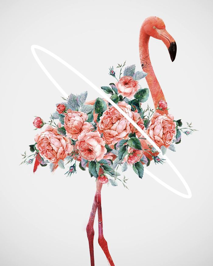 My Surreal Illustrations Of Women And Birds