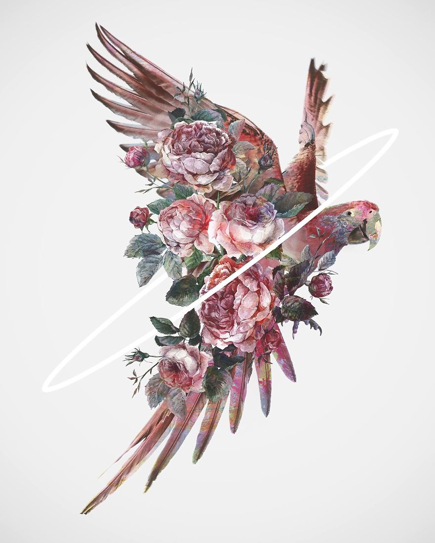 My Surreal Illustrations Of Women And Birds