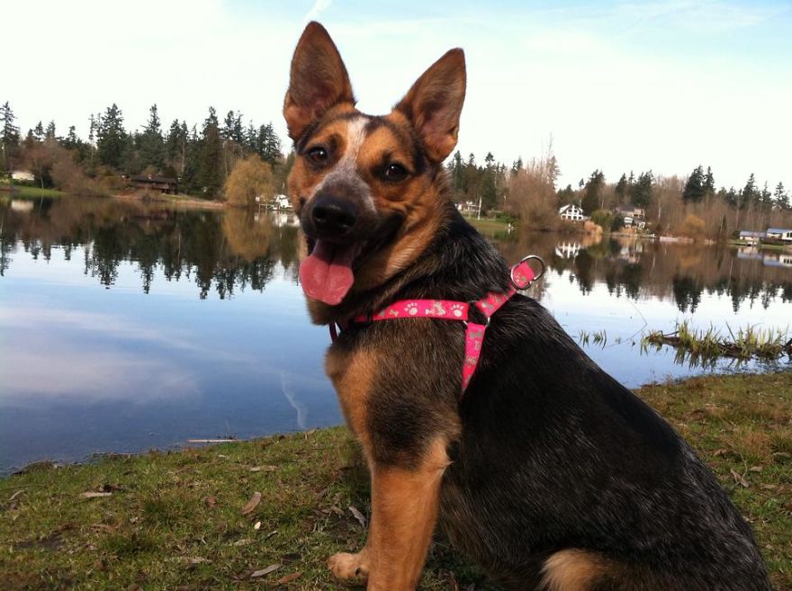 My Best Moments Are With My Best Friend, Cayote. My Best Moments Are With My Best Friend, Cayote.