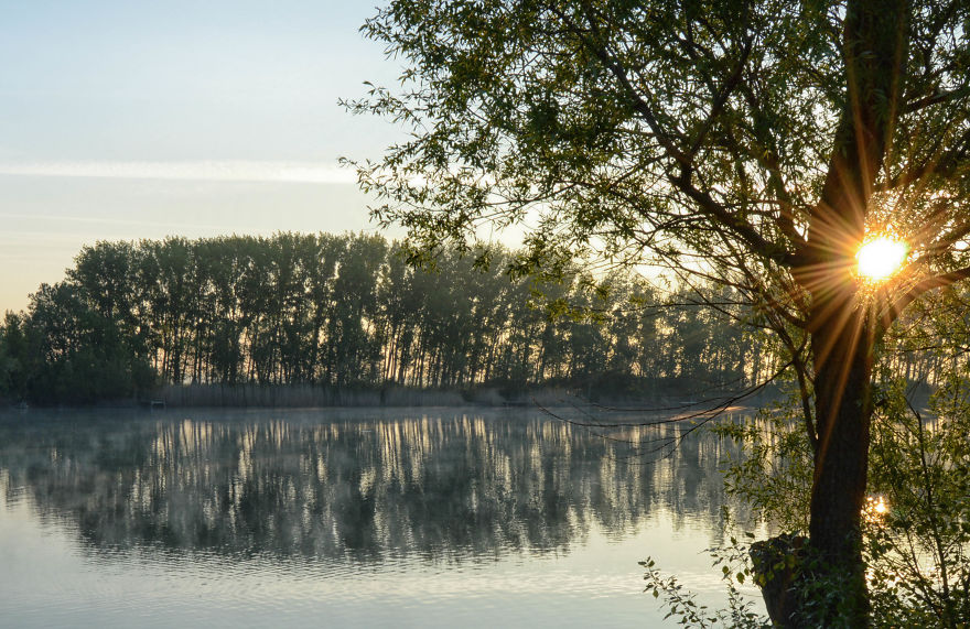 Same Theme - Different Results