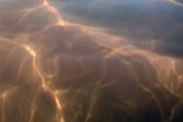 Underwater Pensive Cat Painted By The Sun