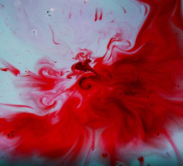 Phoenix In Milk And Food Coloring - Trinityhawk ©