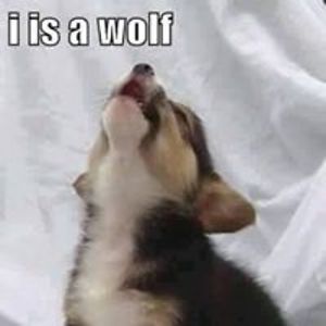 lady_aphrodites_heart avatar