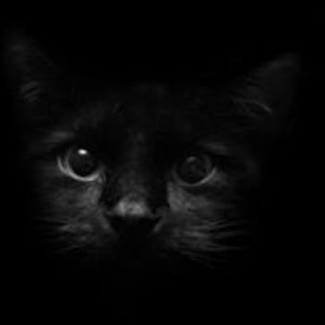 epocherbs91977 avatar