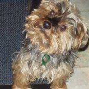 arniesmum6776 avatar