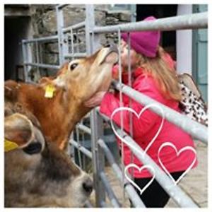 helen_catherine2010 avatar