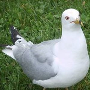 michelleosprey avatar