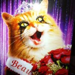 kerryleeclarke avatar