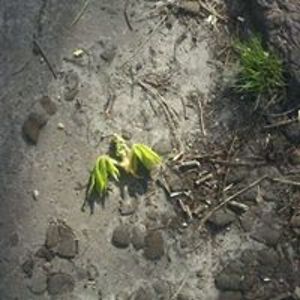 wieland_kramer avatar