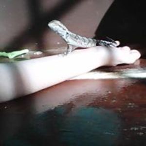 azarastarlightgeerts avatar