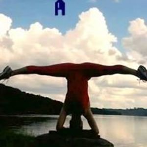 toros_a_a_369 avatar