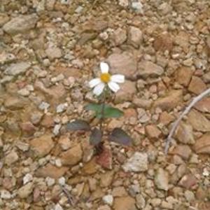 thong09081996 avatar