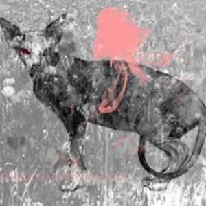 jezusmniekocha avatar