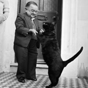 hardluckbunny avatar