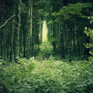 odettecazalet avatar