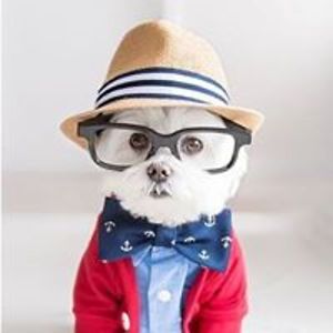 himmel_schuhe avatar